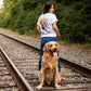 Kappa Delta Comfort Colors USA Retriever Tee | Kappa Delta | Shirts > Short sleeve t-shirts