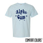 Alpha Gam Comfort Colors Baby Blue Star Tee | Alpha Gamma Delta | Shirts > Short sleeve t-shirts